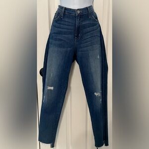 Flying Monkey High Rise Distressed Jeans with Blue Racing Stripe - Size 31